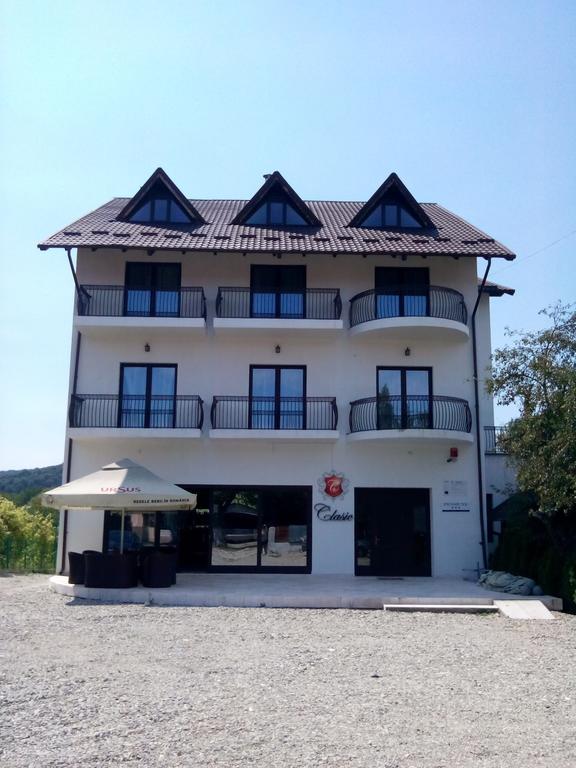 Pensiunea Clasic Куртя-де-Арджеш Екстер'єр фото